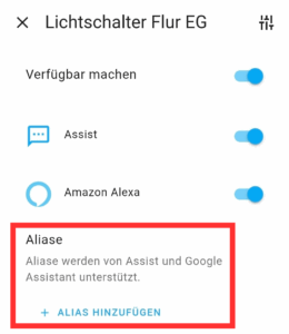 Alias der Entität in den Sprachassistenten Einstellungen